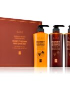 DAENG GI MEO RI Honey Therapy Professional Hair Care Set darilni set za prehrano in hidracijo
