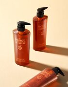 DAENG GI MEO RI Honey Therapy Professional Plus Shampoo regeneracijski šampon za šibke in poškodovane lase 500 ml