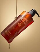 DAENG GI MEO RI Honey Therapy Professional Plus Shampoo regeneracijski šampon za šibke in poškodovane lase 500 ml