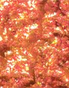 Danessa Myricks Beauty Infinite Chrome Flakes bleščeča senčila za oči odtenek Hot Lava 38 g