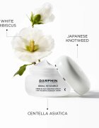 Darphin Ideal Resource Overnight Cream posvetlitvena nočna krema 50 ml