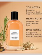 David Beckham Amber Breeze parfumska voda za moške 100 ml