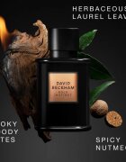 David Beckham Bold Instinct parfumska voda za moške 75 ml
