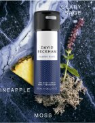 David Beckham Classic Blue deodorant v pršilu za moške 150 ml