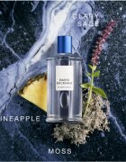 David Beckham Classic Blue toaletna voda za moške 100 ml