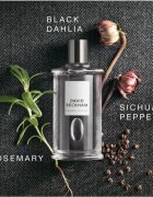 David Beckham Classic Homme toaletna voda za moške 100 ml