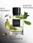David Beckham Instinct parfumska voda za moške 50 ml