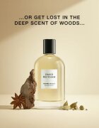 David Beckham Refined Woods parfumska voda za moške 100 ml