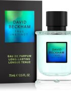 David Beckham True Instinct parfumska voda za moške 75 ml