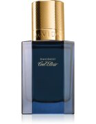 Davidoff Cool Elixir Parfum Intense parfum za moške 30 ml