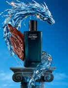 Davidoff Cool Water Parfum parfum za moške 100 ml