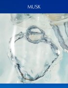 Davidoff Cool Water Woman toaletna voda za ženske 100 ml
