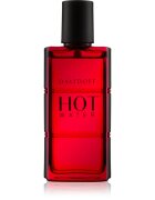 Davidoff Hot Water toaletna voda za moške 60 ml