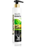 Delia Cosmetics Cameleo BB keratinski šampon za poškodovane lase 250 ml