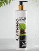 Delia Cosmetics Cameleo BB keratinski šampon za poškodovane lase 250 ml