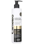 Delia Cosmetics Cameleo BB keratinski šampon za poškodovane lase 250 ml