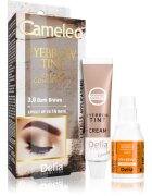Delia Cosmetics Cameleo profesionalna kremasta barva za obrvi brez amoniaka odtenek 3.0 Dark Brown 15 ml