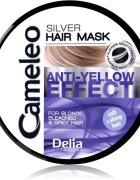 Delia Cosmetics Cameleo Silver maska za lase za nevtralizacijo rumenih odtenkov 200 ml