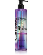 Delia Cosmetics Cameleo Silver šampon za nevtralizacijo rumenih odtenkov 250 ml