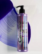 Delia Cosmetics Cameleo Silver šampon za nevtralizacijo rumenih odtenkov 250 ml