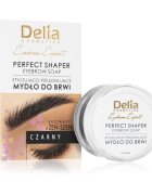Delia Cosmetics Eyebrow Expert vosek za fiksacijo obrvi odtenek Black 10 ml