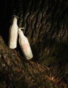Delia Cosmetics Forest Blend regeneracijski losjon za telo 300 ml