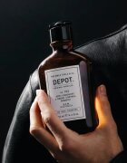 Depot 100 HAIR CLEANSING NO. 102 PURIFYING & SEBUM CONTROL šampon za obnovo ravnovesja mastnega lasišča 250 ml