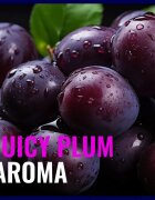 Dermacol Aroma Moment Plummy Monster balzam za ustnice 4.8 g
