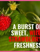 Dermacol Aroma Moment Wild Strawberries svež gel za prhanje 250 ml