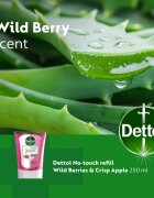 Dettol Energise Liquid Hand Wash Wild Berries & Crisp Apple polnilo za brezstični dozirnik mila 250 ml