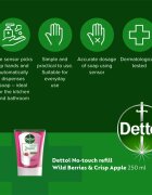 Dettol Energise Liquid Hand Wash Wild Berries & Crisp Apple polnilo za brezstični dozirnik mila 250 ml