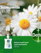 Dettol Soft on Skin Gentle Chamomile tekoče milo za roke 250 ml