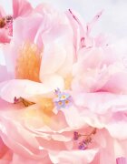 DIOR Miss Blooming Bouquet Roller-Pearl toaletna voda roll-on za ženske 20 ml