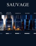 DIOR Sauvage Elixir parfumski ekstrakt za moške 100 ml