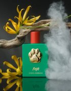 Dolce&Gabbana Fefé fragrance mist for dogs parfumska meglica uniseks 100 ml