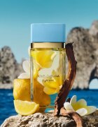 Dolce&Gabbana Light Blue Eau de Parfum parfumska voda za ženske 200 ml