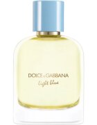 Dolce&Gabbana Light Blue Pour Homme Eau de Parfum parfumska voda za moške 100 ml