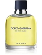 Dolce&Gabbana Pour Homme toaletna voda za moške 125 ml