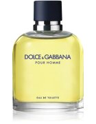 Dolce&Gabbana Pour Homme toaletna voda za moške 200 ml