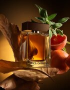 Dolce&Gabbana The One for Men Eau de Parfum parfumska voda za moške 100 ml
