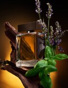 Dolce&Gabbana The One for Men Eau de Toilette toaletna voda za moške 50 ml