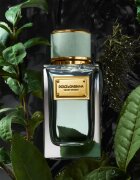 Dolce&Gabbana Velvet Infusion Eau de Parfum parfumska voda uniseks 100 ml