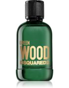 Dsquared2 Green Wood toaletna voda za moške 100 ml