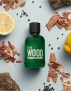 Dsquared2 Green Wood toaletna voda za moške 100 ml