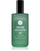 DW Home Cooling Eucalyptus pršilo za dom 120 ml