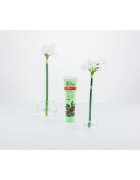 Ecodenta Green Tartar Eliminating osvežujoča zobna pasta proti zobnemu kamnu s fluoridom okus Cranberry 100 ml