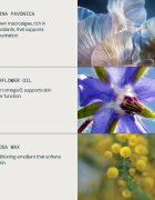 Elemis Pro-Collagen Marine Oil olje za obraz proti gubam 15 ml