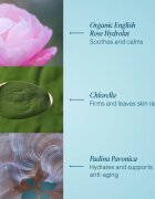Elemis Pro-Collagen Rose Marine Cream vlažilna gel krema za učvrstitev obraza 30 ml