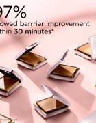 Elizabeth Arden Flawless Finish Sponge-On Cream Makeup kremasti tekoči puder z gobico za ličenje odtenek PERFECT BEIGE 23 g
