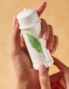Elizabeth Arden Green Tea kremasti deodorant za ženske 40 ml